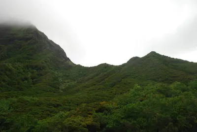 2007_05_31_HAWAII (107) (Large).JPG